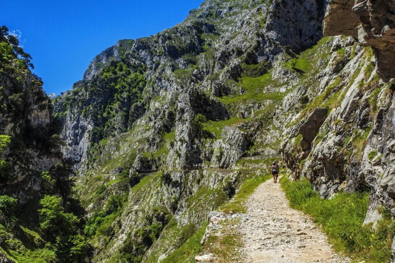 El Mirador De Meron San Vicente De La Barquera Esterno foto